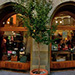 Persimmon tree in front of a shop in Piazza Angeli.