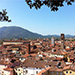 Overlooking Lucca from the Guinigi Tower.