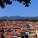 Panorama from the Guinigi Tower.  In the center of the photo, is the famous Lucca amphitheatre.